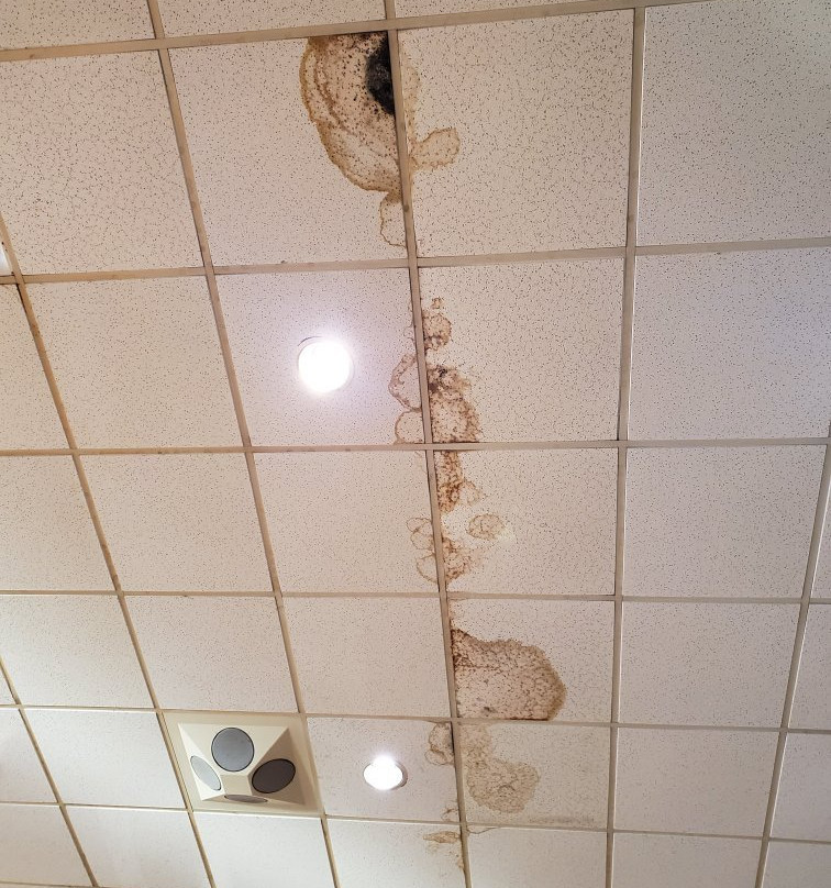 Holladay旅游攻略图片