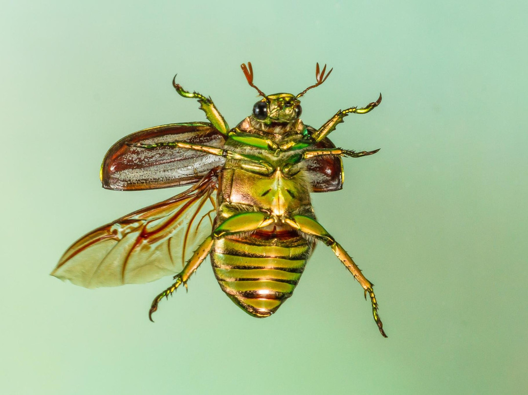 Big Bend Birding & Photo Tours-Terlingua必去景点