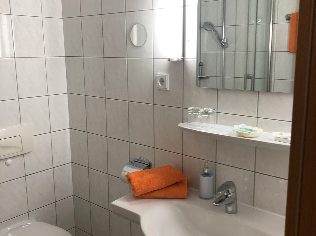 Hotel Schwartze主图