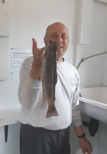 Pourvoirie le Chenail du Nord-Forestville必去景点