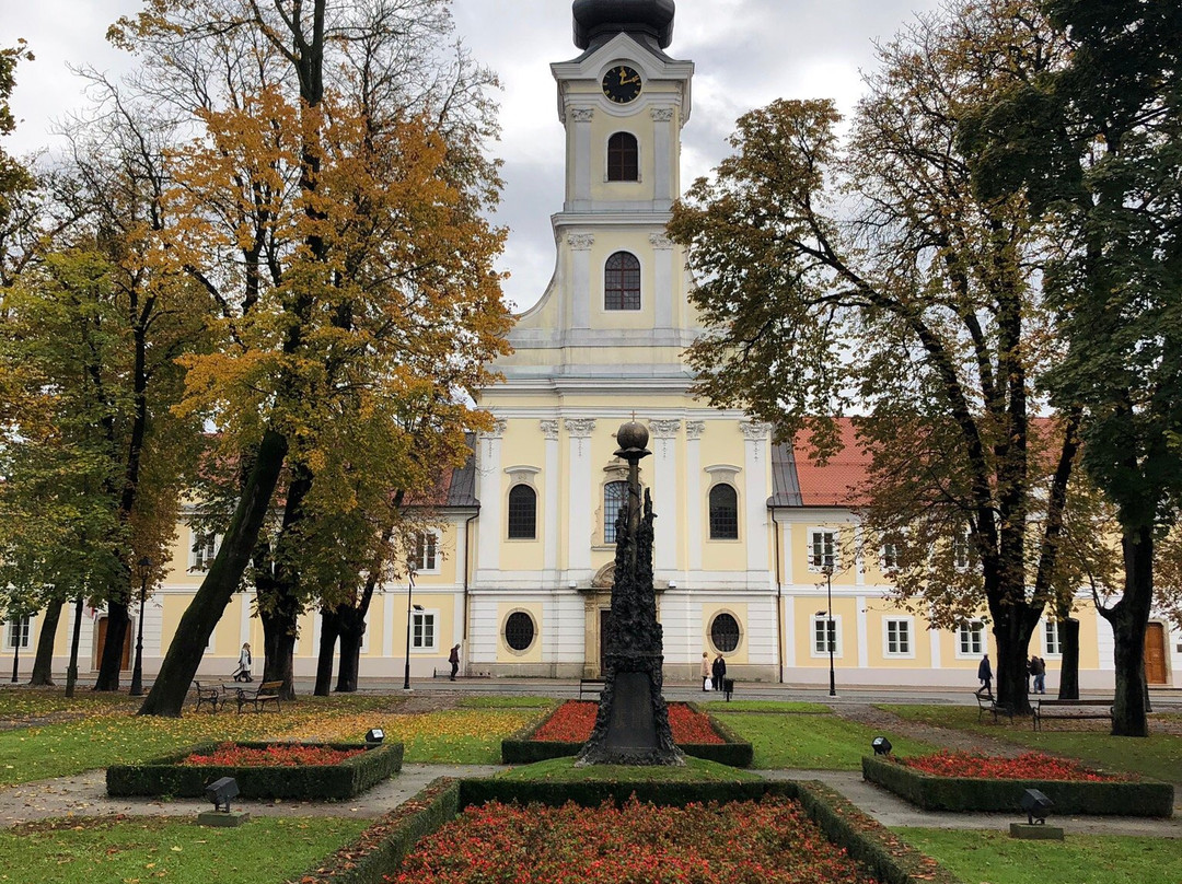 Bjelovar Cathedral景点图片