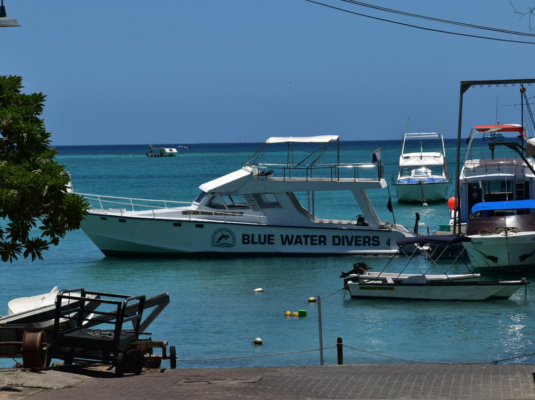 Blue Water Diving Centre-卓欧毕雪必去景点