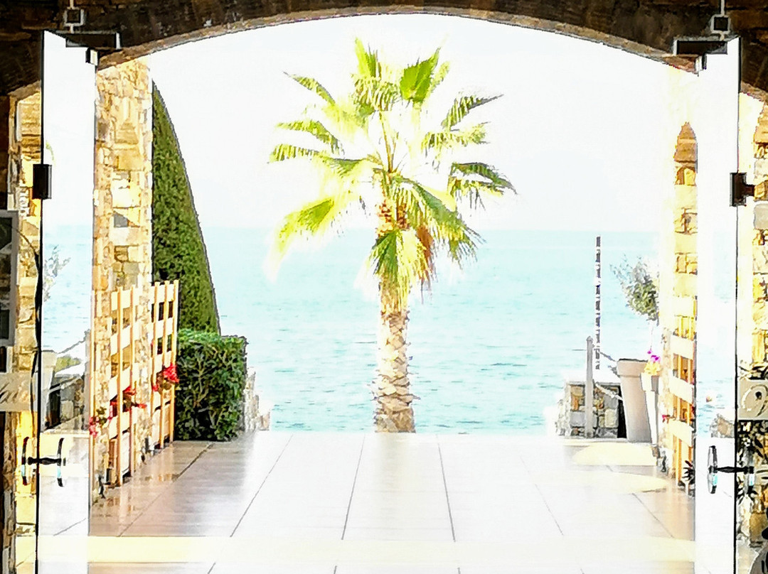 Valis Resort and Spa主图