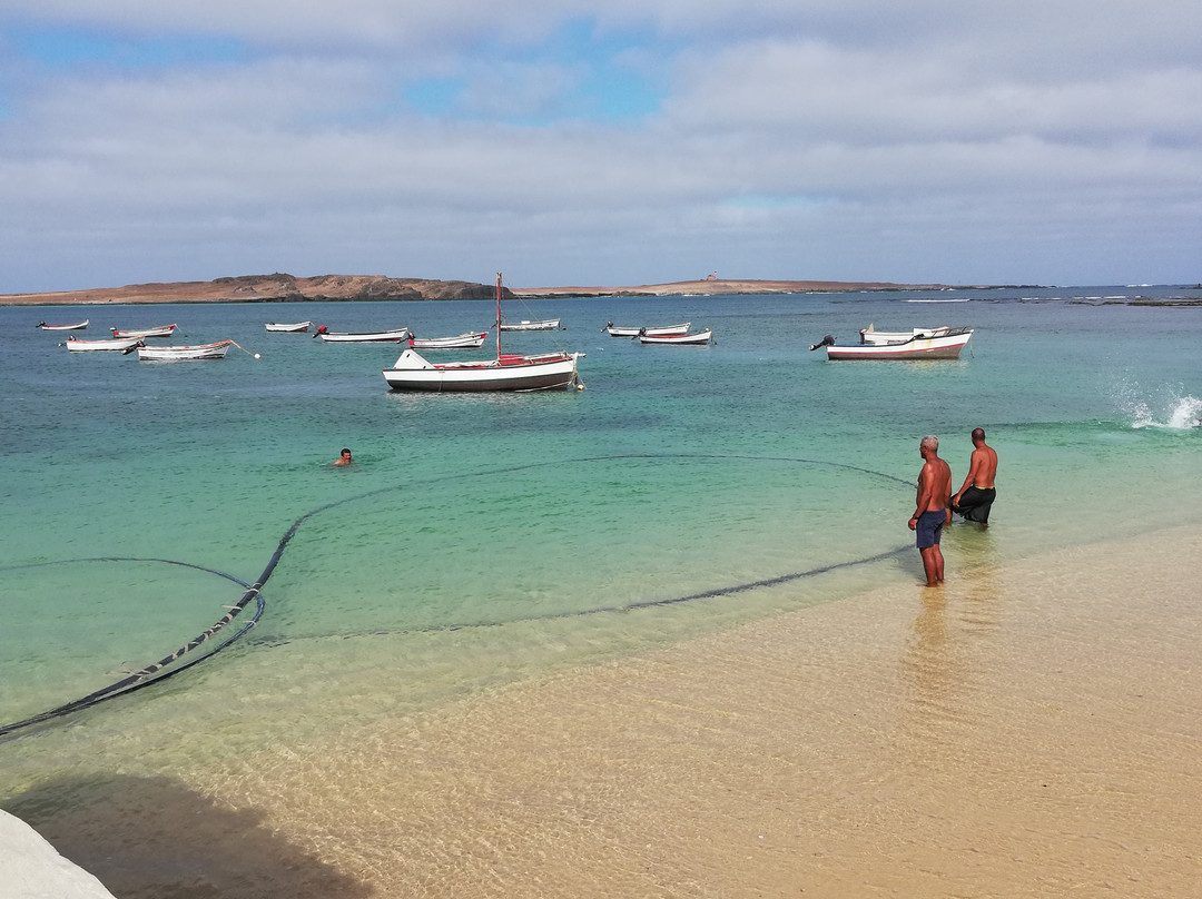 Whale Watching mit CaboKaiTours-萨尔雷必去景点