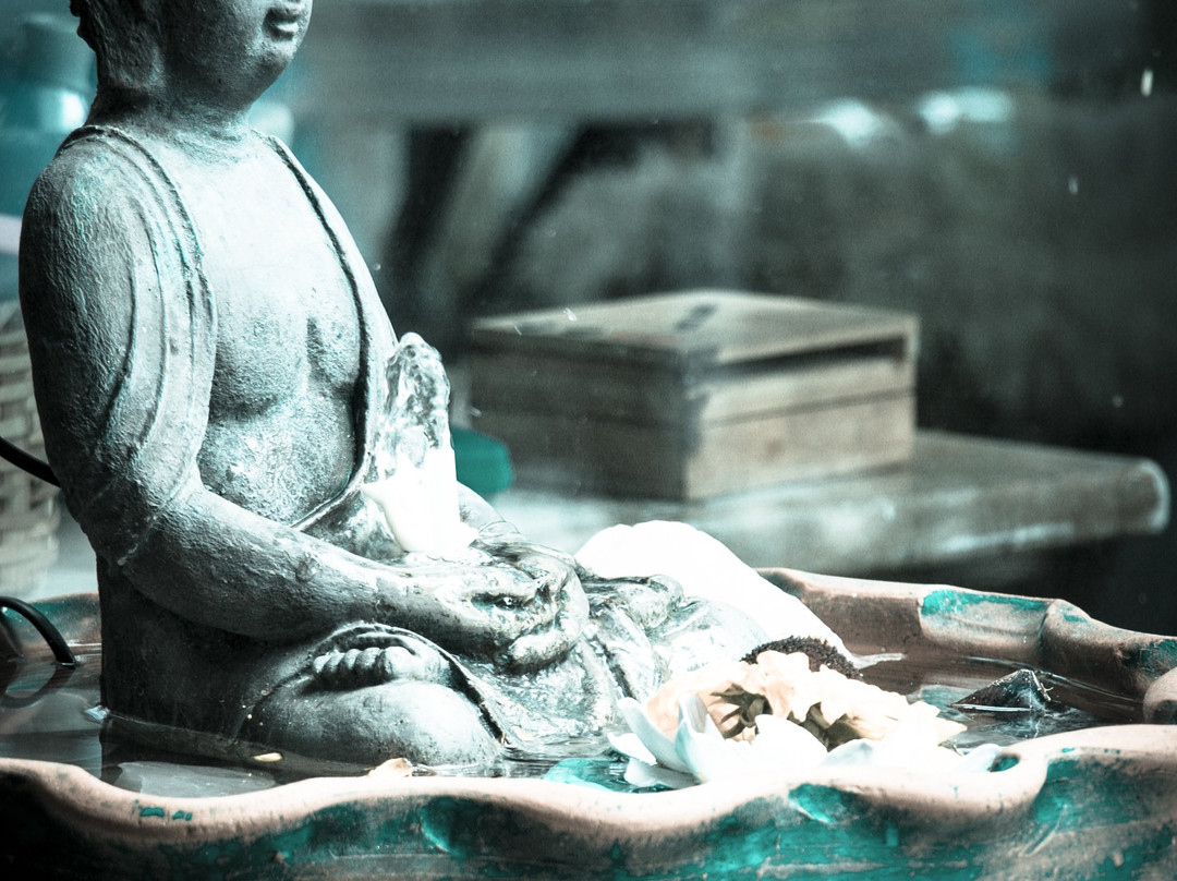 Recanto dos Bambus主图