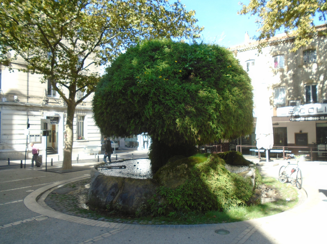 Fontaine Moussue景点图片