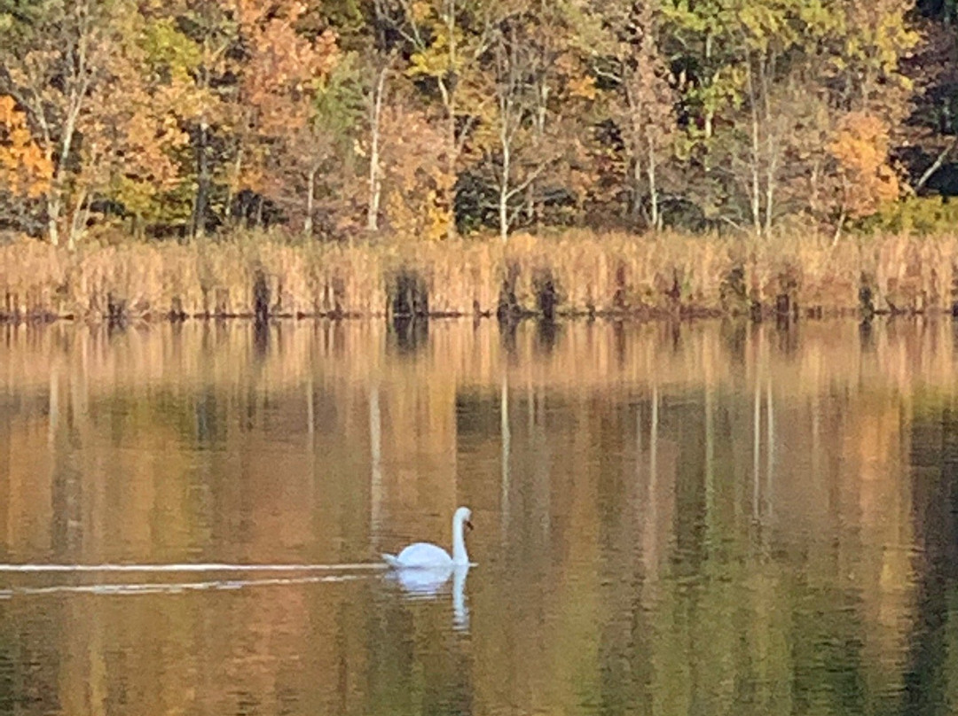 Cutler Park-尼达姆必去景点