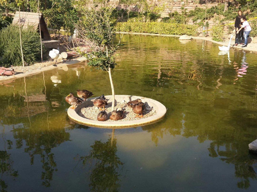 Tehran Bird Garden景点图片