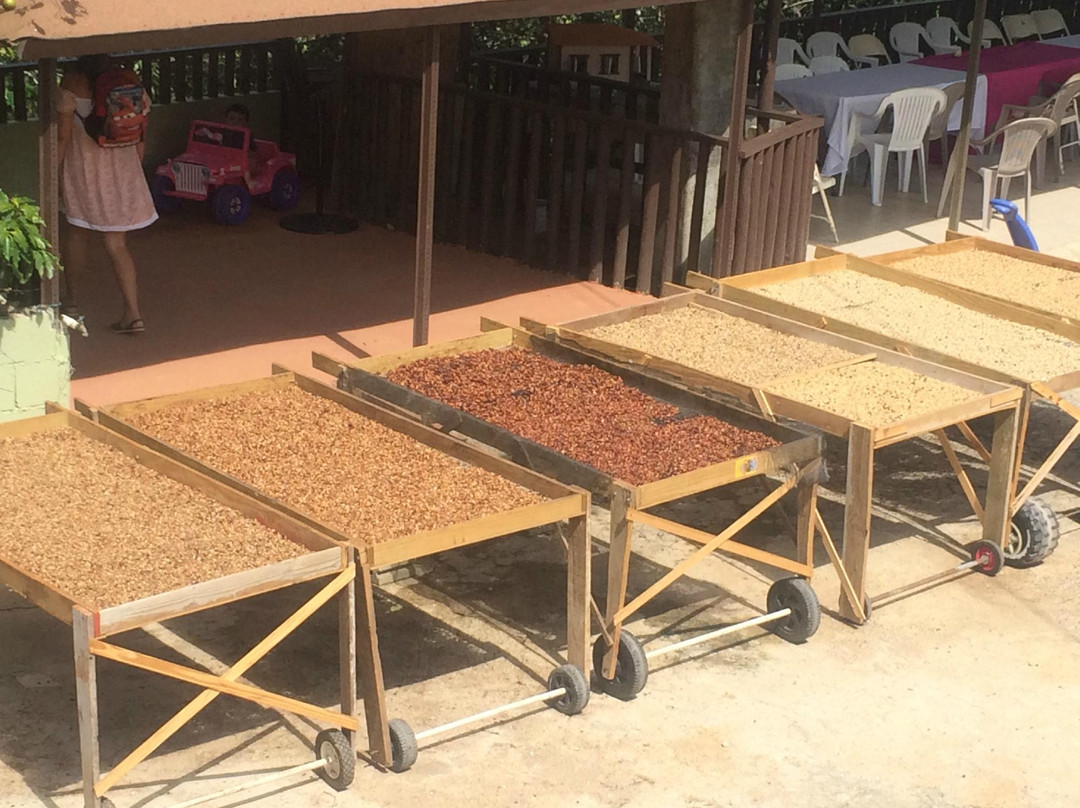 Cafe Gran Batey-Utuado必去景点