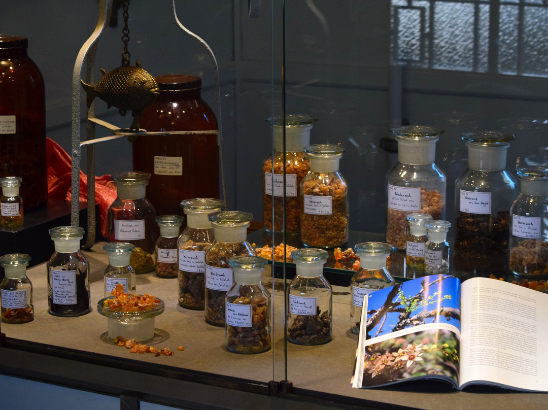 Pharmaziemuseum Universitat Basel-巴塞尔必去景点