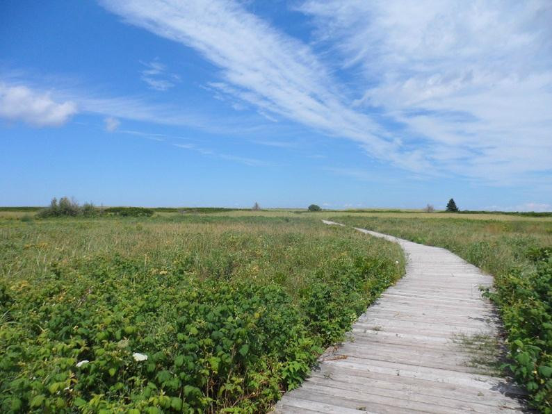 Waterside Beach Provincial Park景点图片