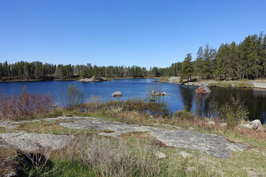 Alfred Hole Goose Sanctuary and Visitor Centre景点图片