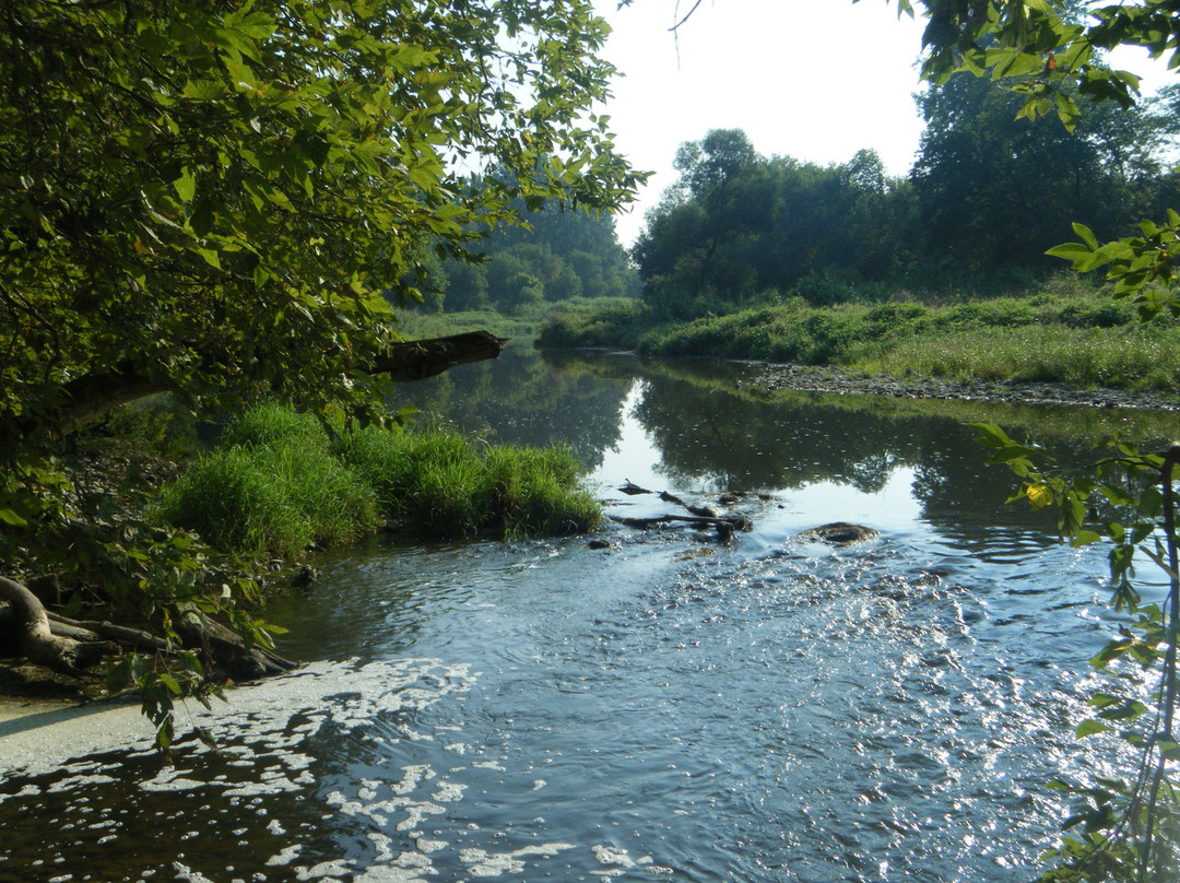 Brant Conservation Area景点图片