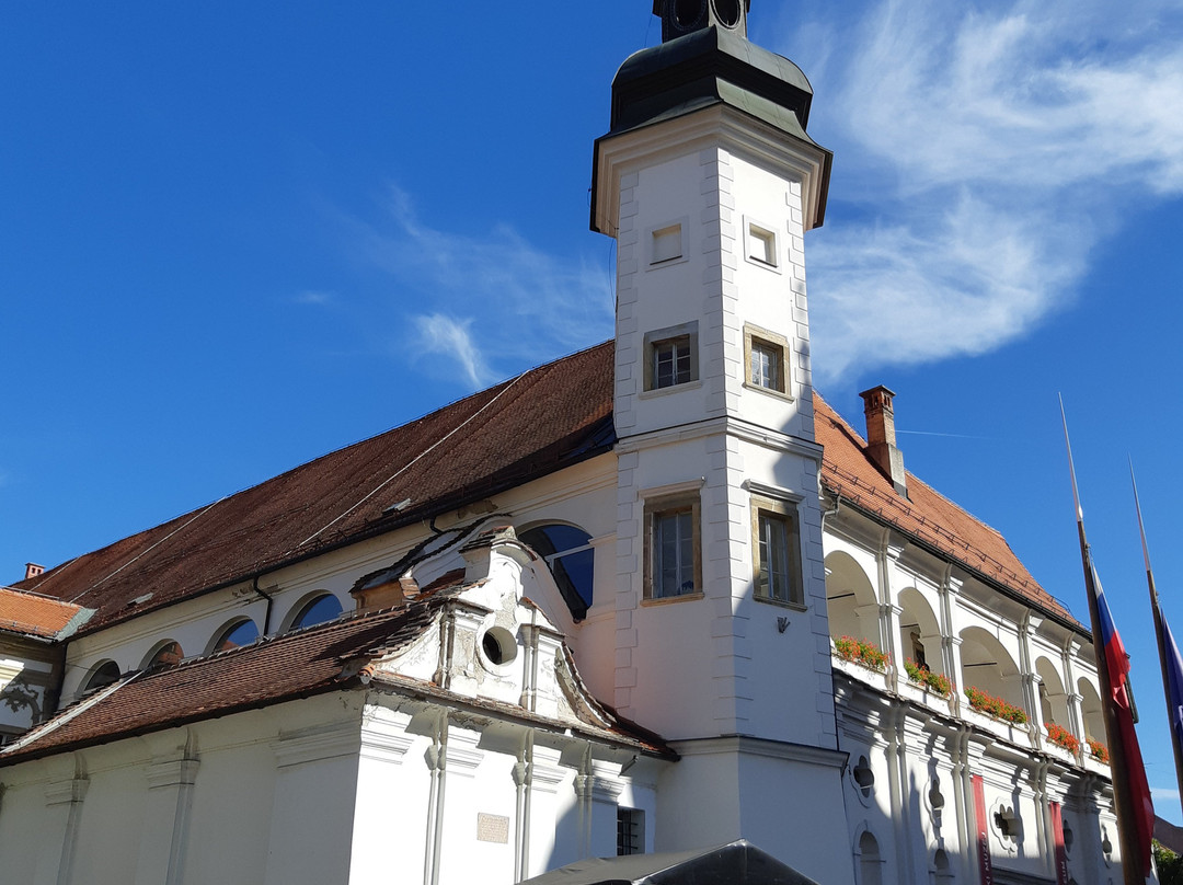 Regional Museum Maribor景点图片