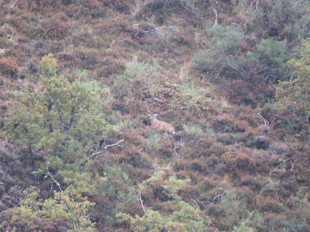 Depor Ventura-Villanueva De Santo Adriano必去景点