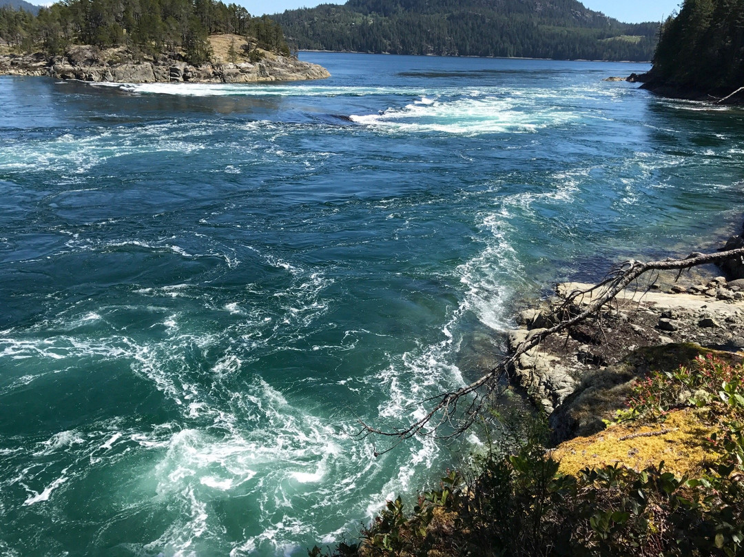 Surge Narrows Provincial Park