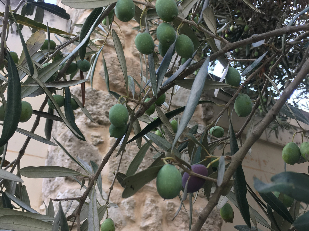 枫树农场住宿加早餐旅馆主图