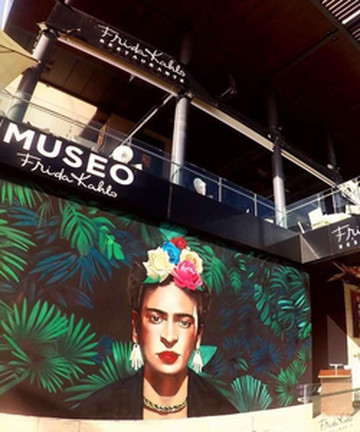 Museo Frida Kahlo景点门票图片