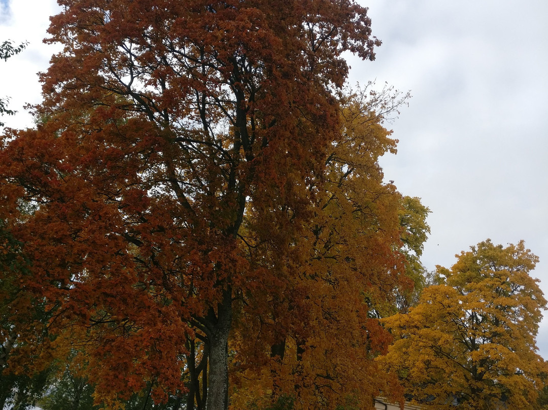 Hatanpää Arboretum-坦佩雷必去景点