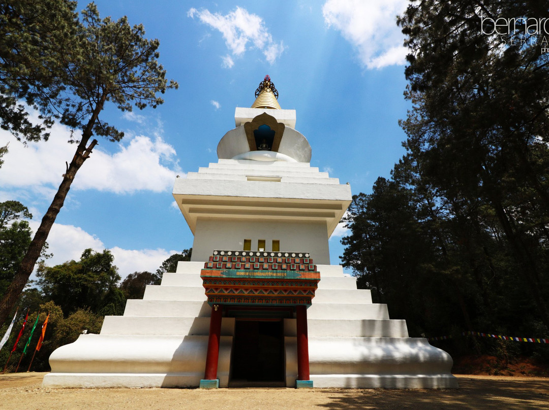 La Gran Stupa Bon para la Paz Mundial景点图片