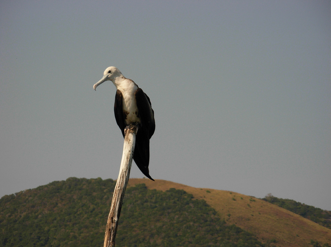 Barra de Potosi Day Tours景点图片