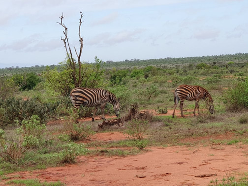 Coast Camping Tours & Safaris-蒙巴萨必去景点