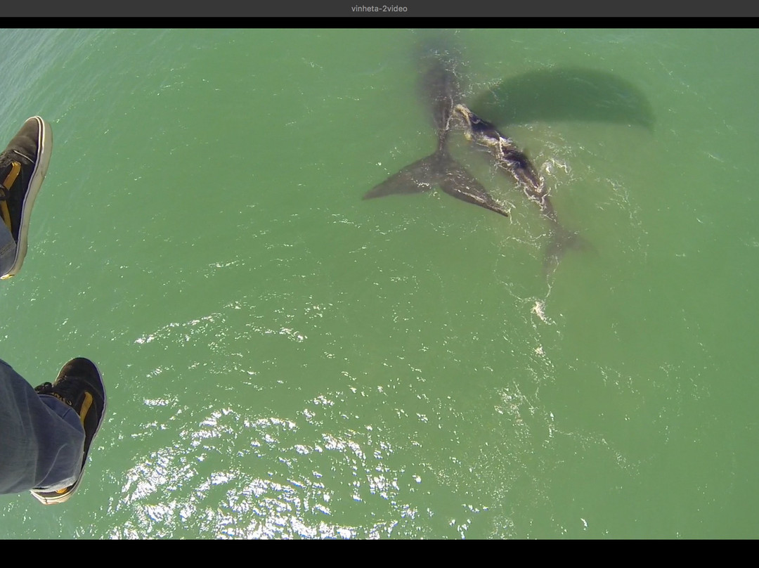 Parapente Sul-弗洛里亚诺波利斯必去景点