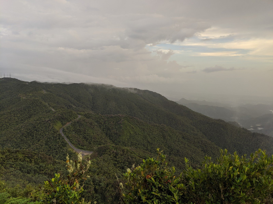 Cerro de Punta景点图片