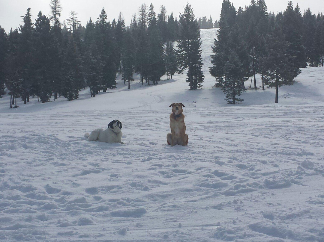 Ferguson Ridge-Enterprise必去景点