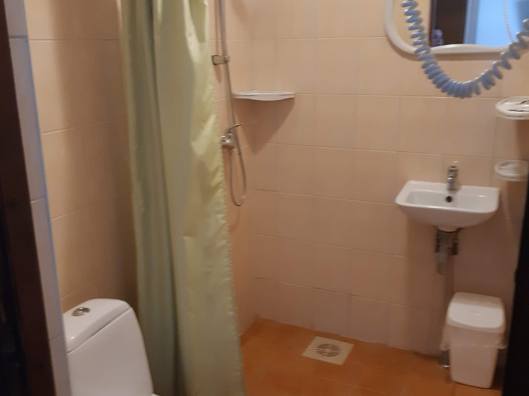 Üksik Rüütel主图