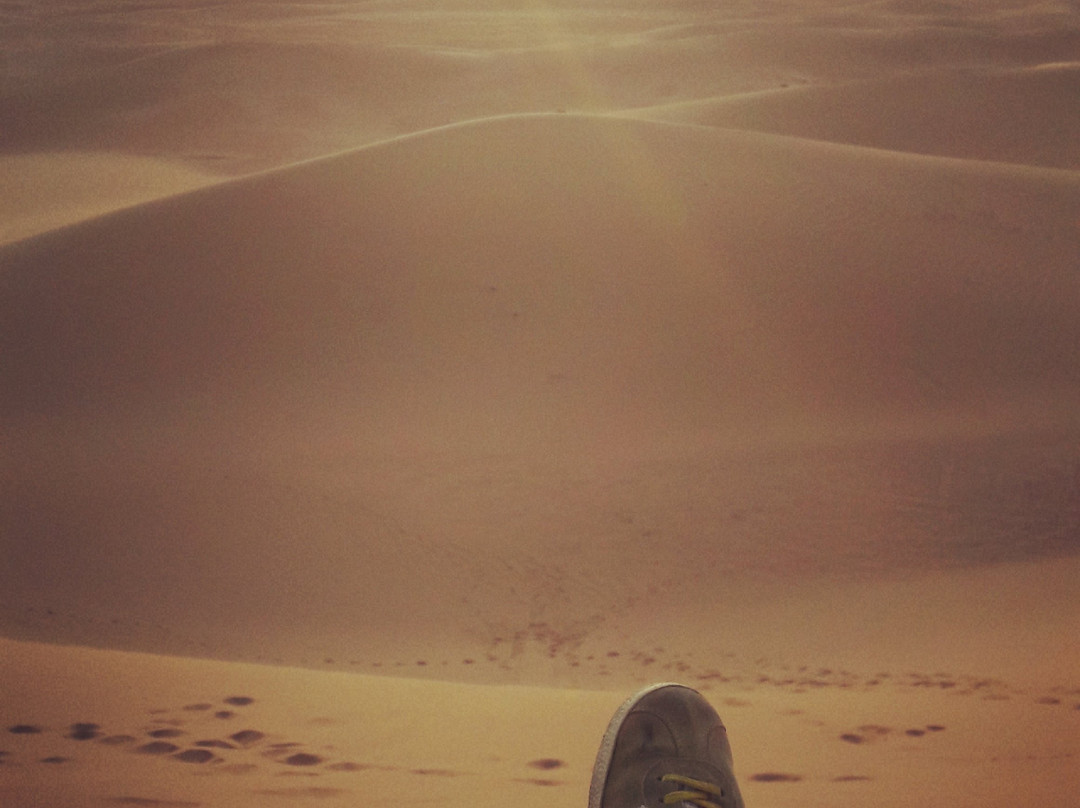 Desert Vie-马拉喀什必去景点