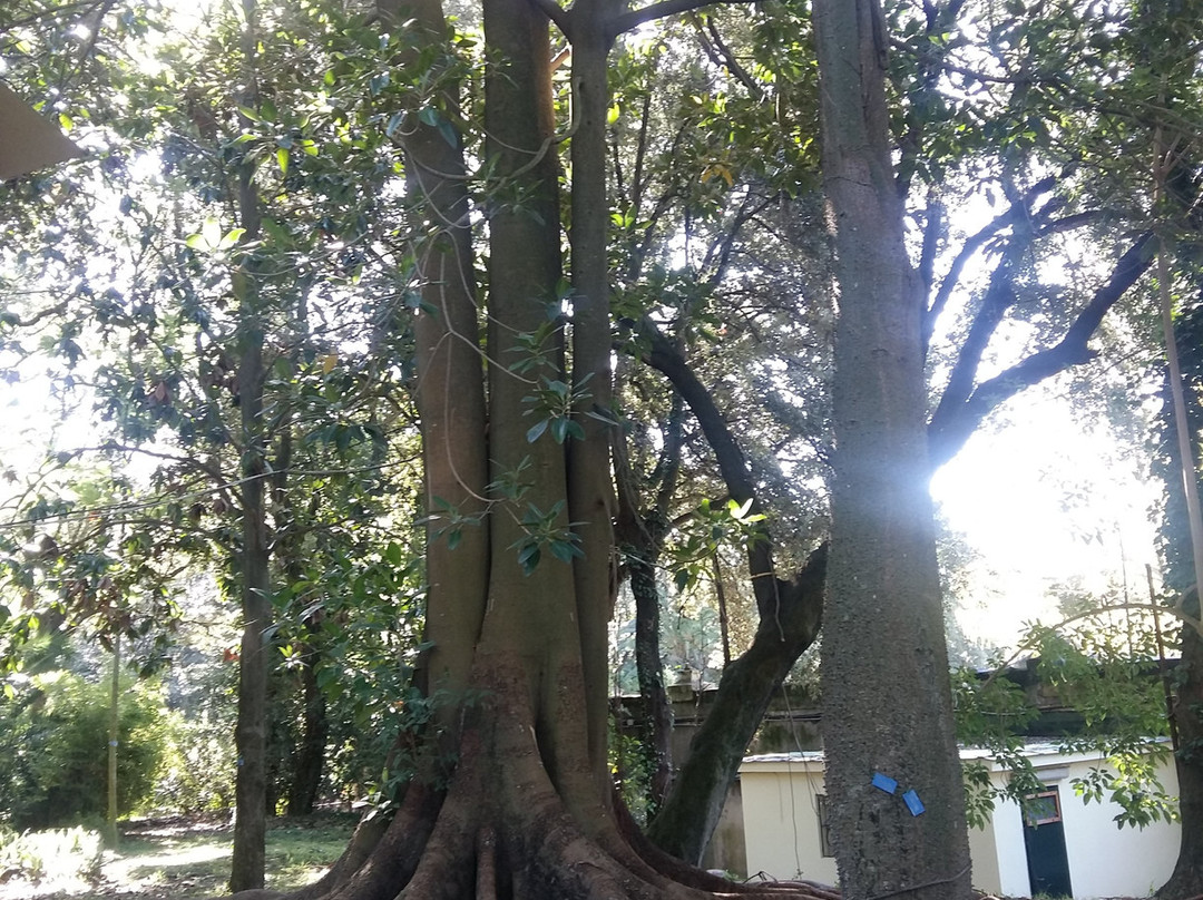 Orto Botanico della Facolta di Agraria景点图片