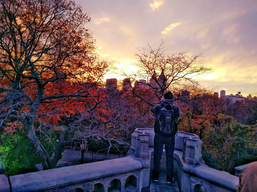 Central Park Sunset Tours景点图片