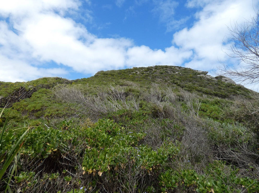 Conspicuous Cliff景点图片