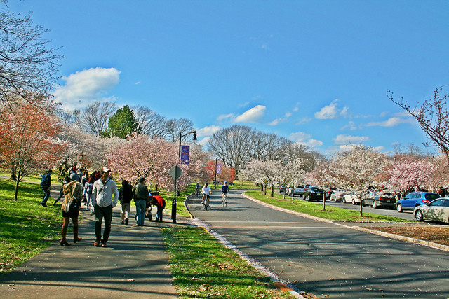 Branch Brook Park景点图片