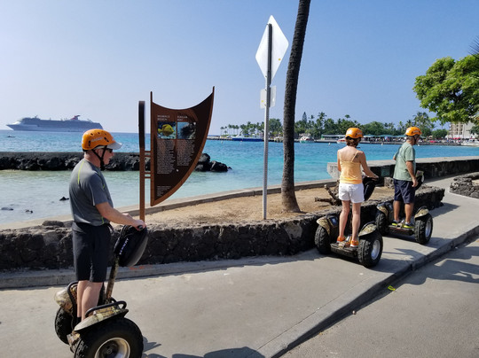 Botanical World Adventures