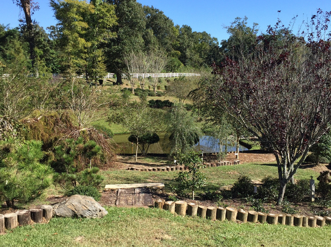 Imahara Botanical Garden景点图片