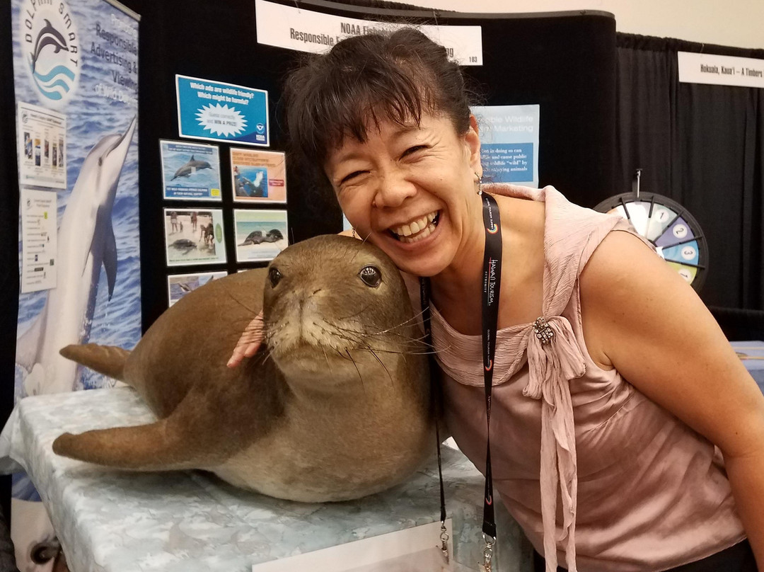 Kittie Travel-哈雷瓦必去景点