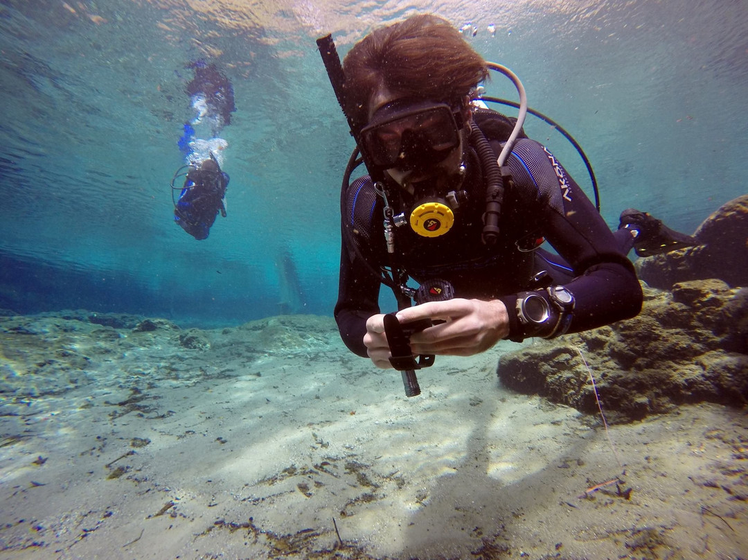 Bubbles or Not-Harlem必去景点