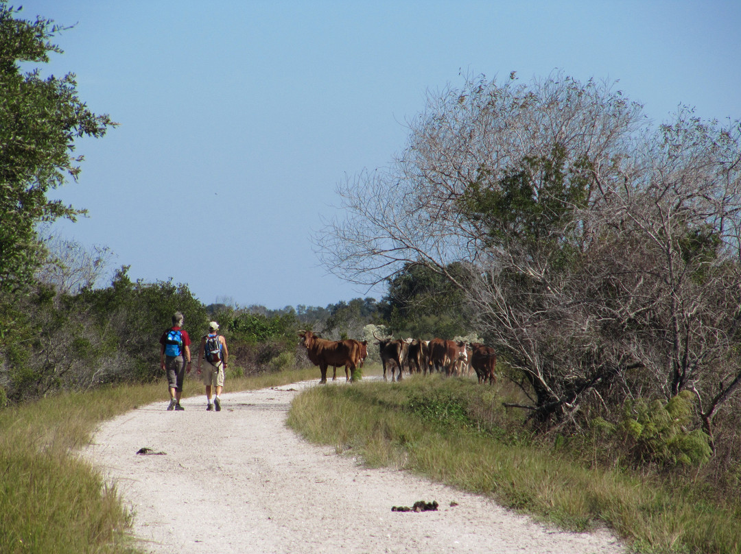莱克威尔士旅游景点-KICCO Wildlife Management Area