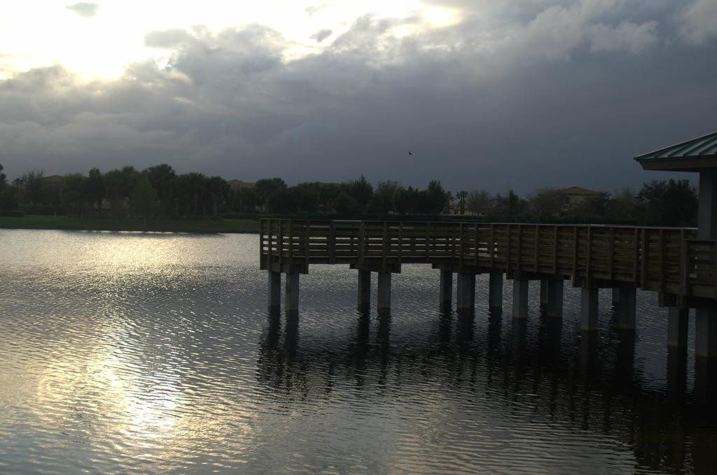 North Jupiter Flatwoods Natural Area