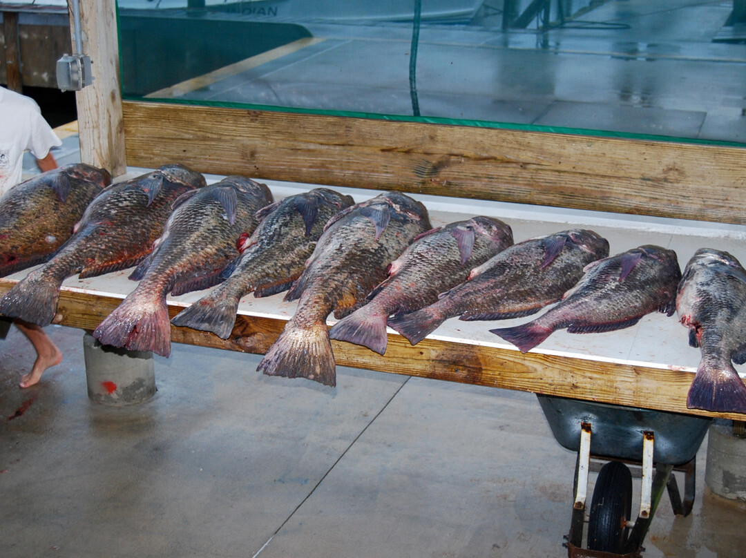 Martha Marie Fishing Charters-刘易斯必去景点