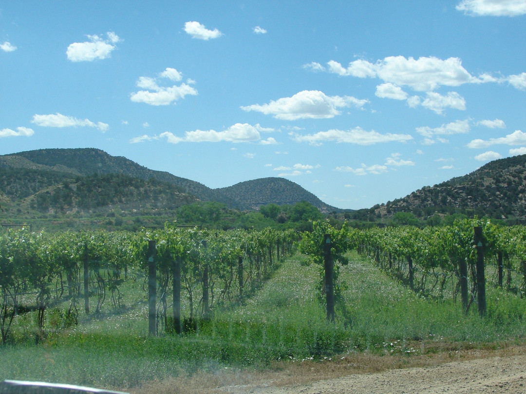 科尔特斯旅游景点-Guy Drew Winery
