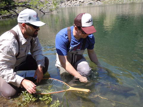 Off the Hook Fly Fishing-纳帕必去景点