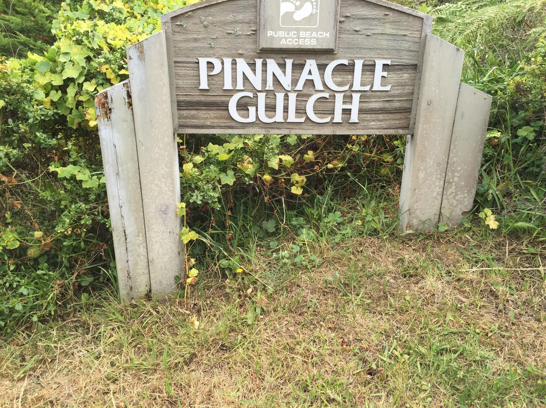 Pinnacle Gulch Coastal Access Trail景点图片
