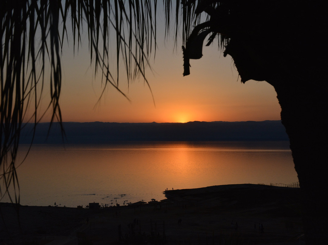 死海Spa酒店主图