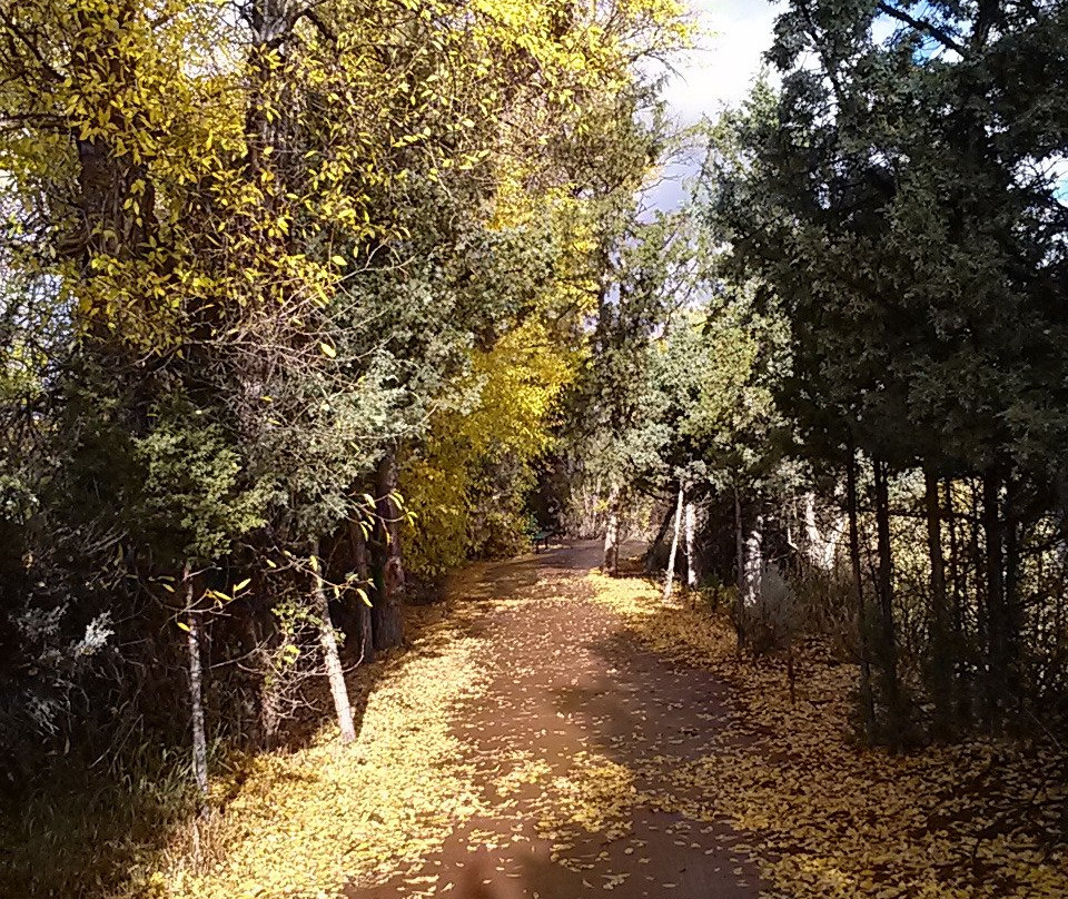 Dubois Town Park景点图片