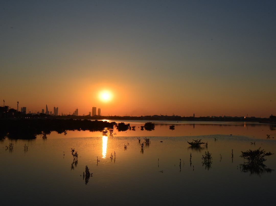 Dohat Arad Lagoon-穆哈瑞克必去景点