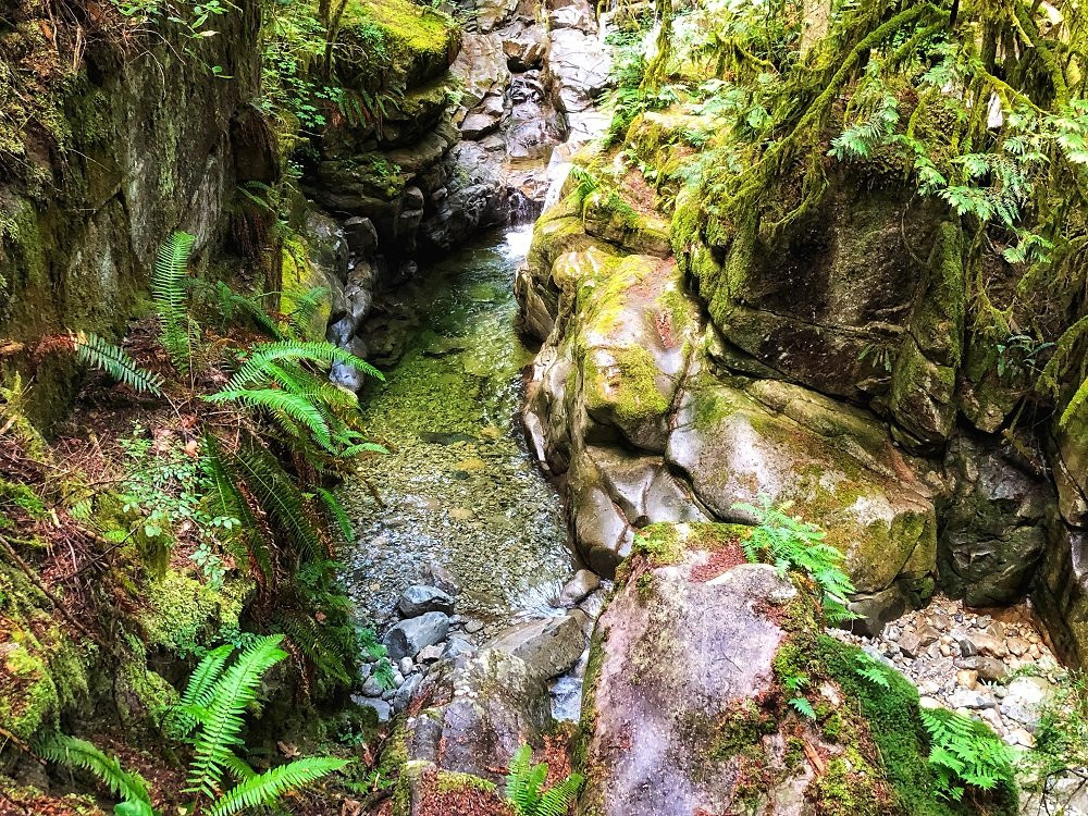 Cypress Falls Park景点图片