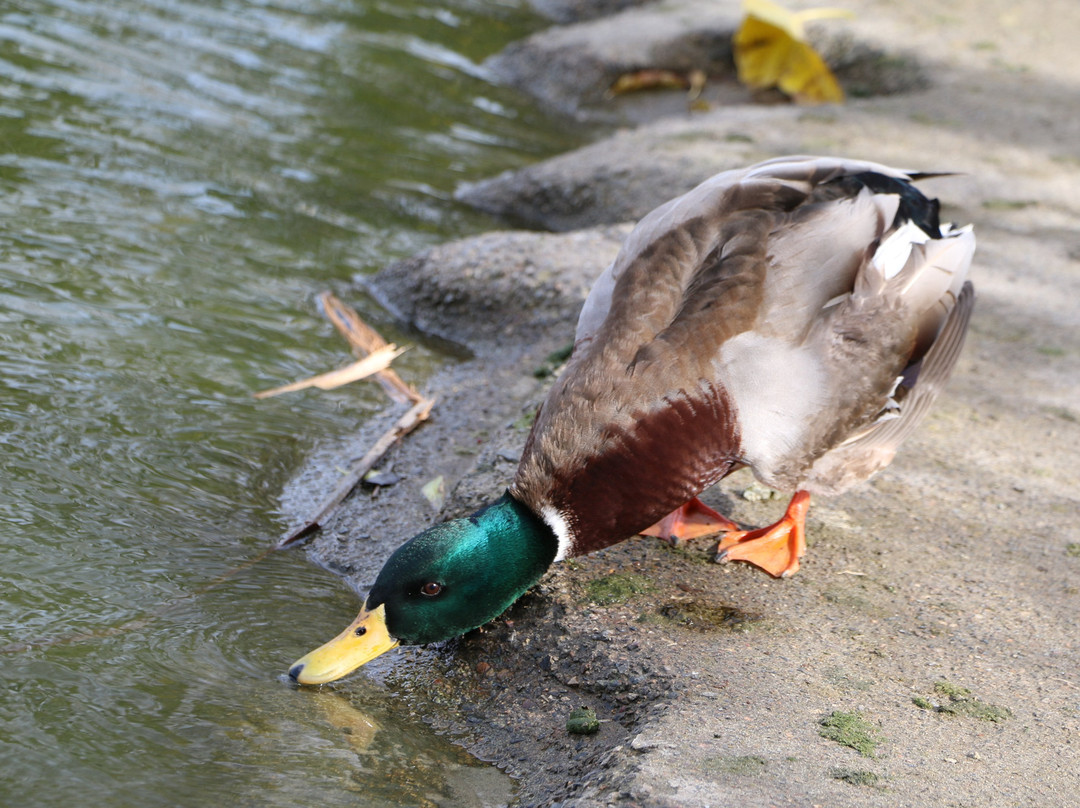 Mile Square Regional Park-芳泉谷必去景点